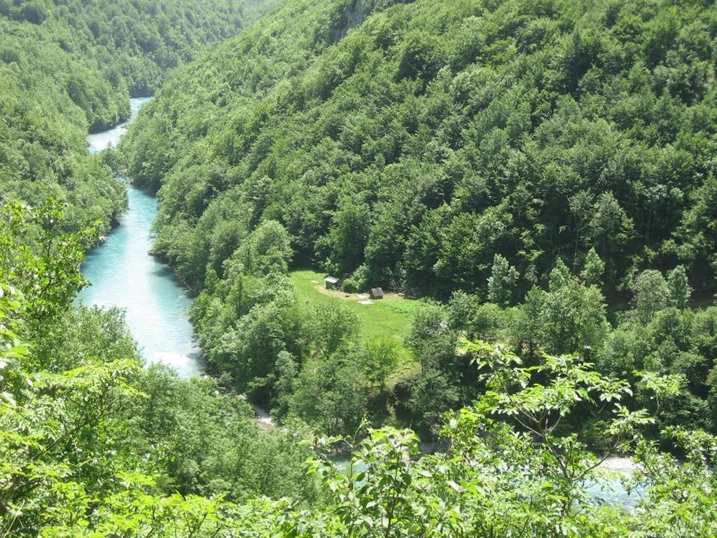 Hotel Tara Bridge Castle Žabljak Zimmer foto